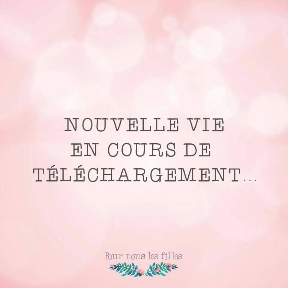 nouvelle vie.jpg